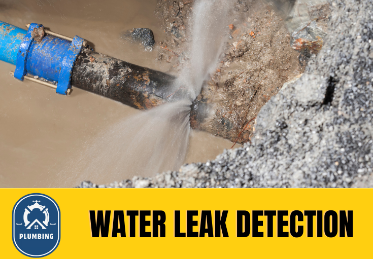 leak detection Ramsgate